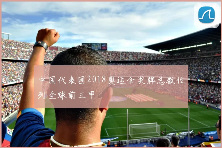 中国代表团2018奥运会奖牌总数位列全球前三甲