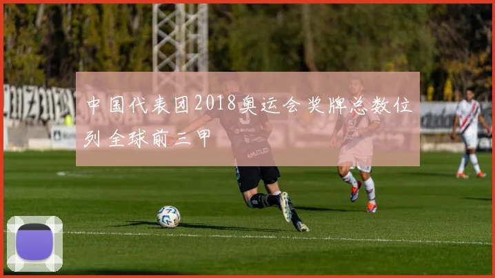 中国代表团2018奥运会奖牌总数位列全球前三甲