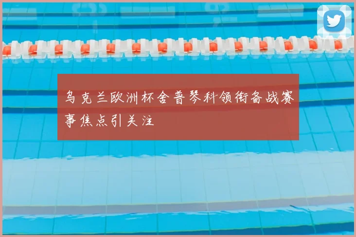 乌克兰欧洲杯舍普琴科领衔备战赛事焦点引关注