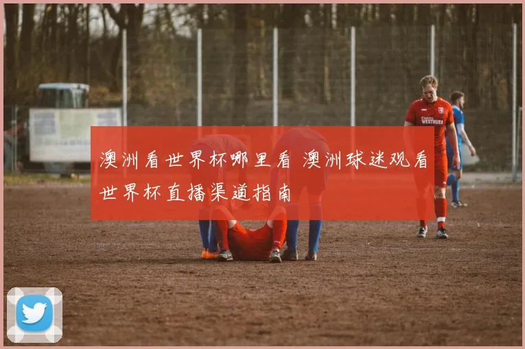 澳洲看世界杯哪里看 澳洲球迷观看世界杯直播渠道指南